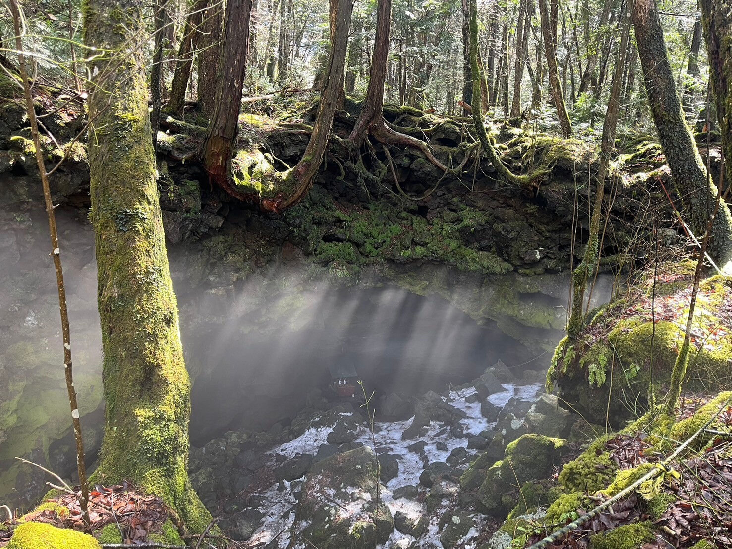 自然の魅力を体験しませんか🌿⛰️