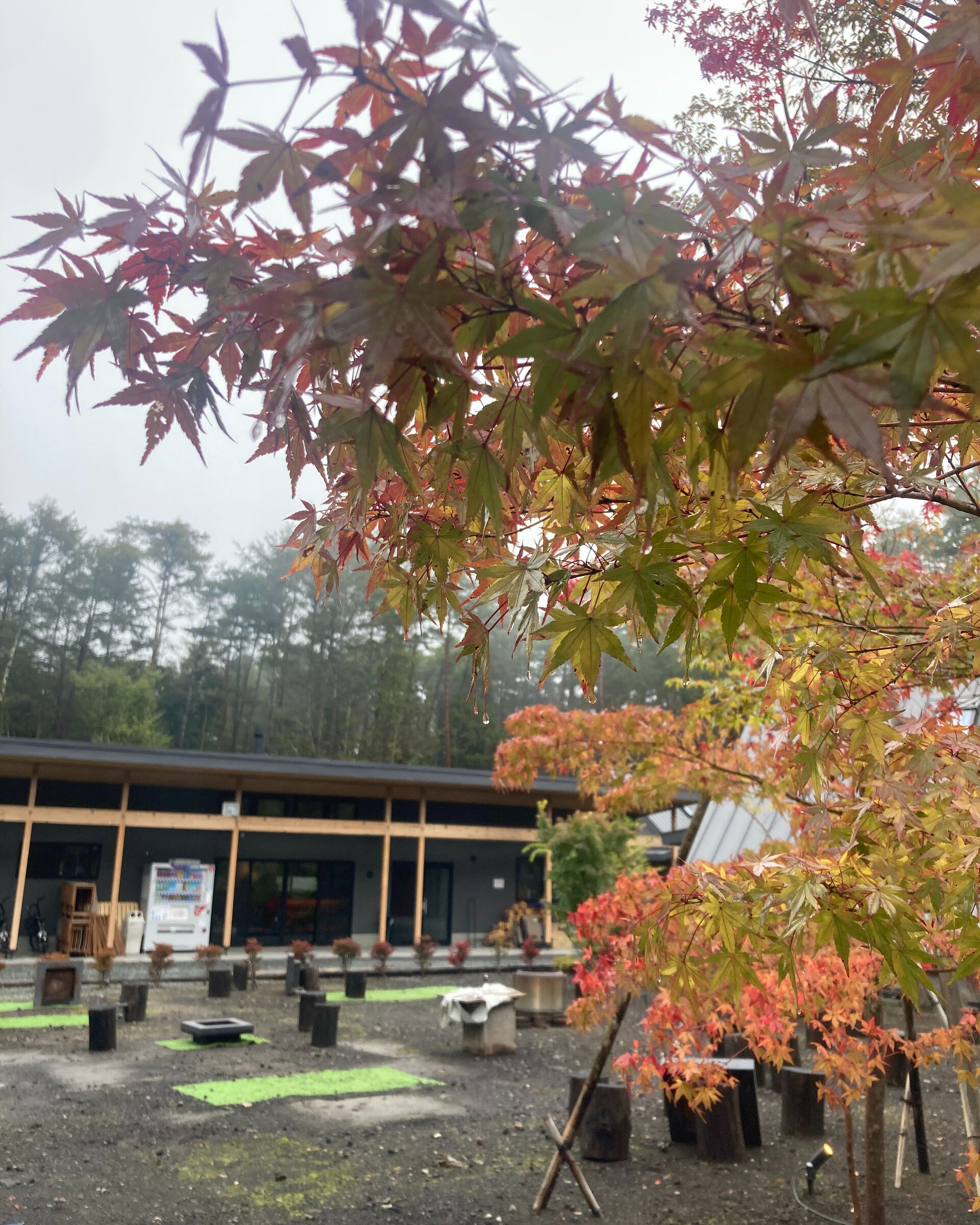 秋の訪れを感じる山梨で、特別なひとときを過ごしませんか？🍂ア