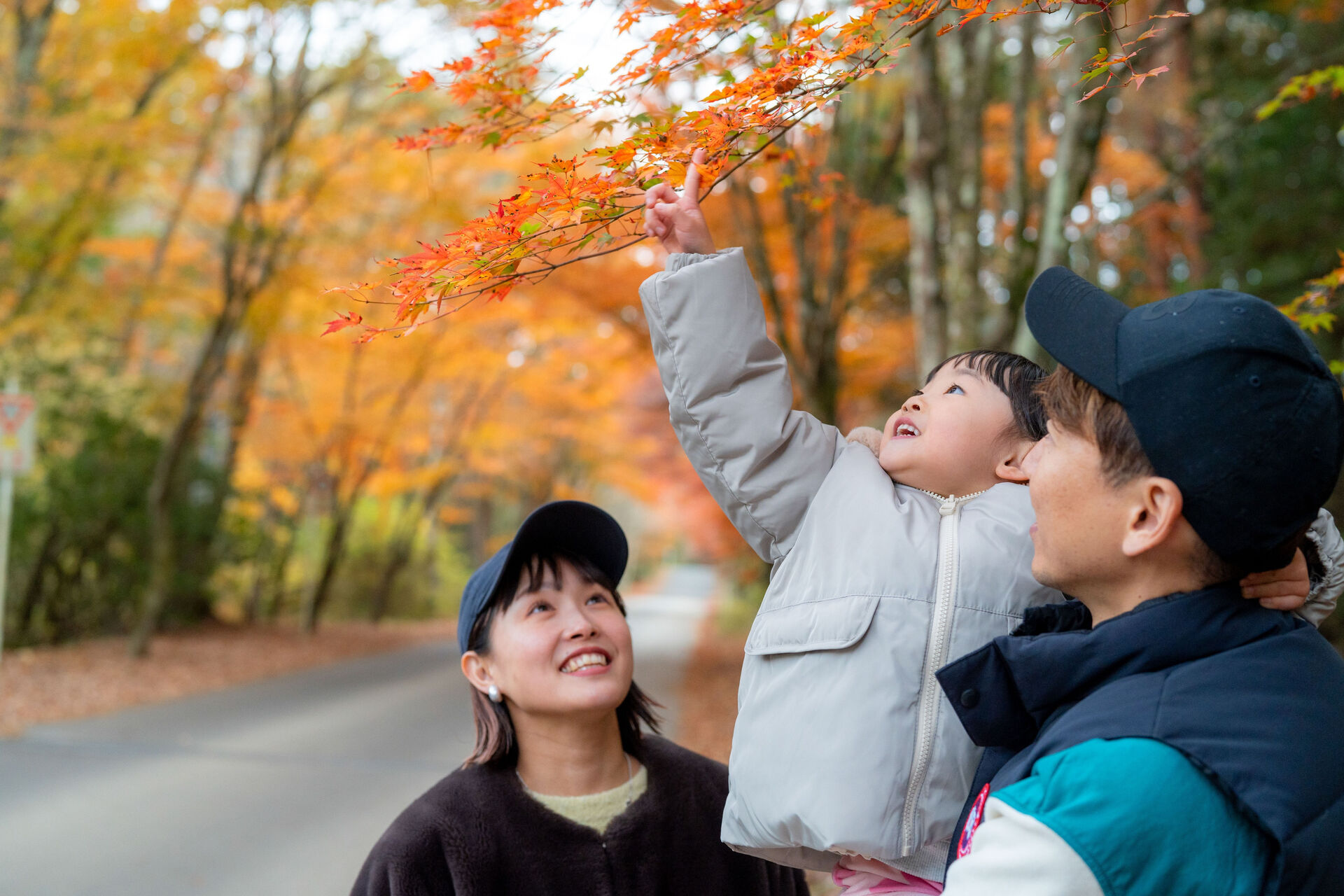🏞️🍂自然の中で過ごす素晴らしいひとときを、コテージで体験し