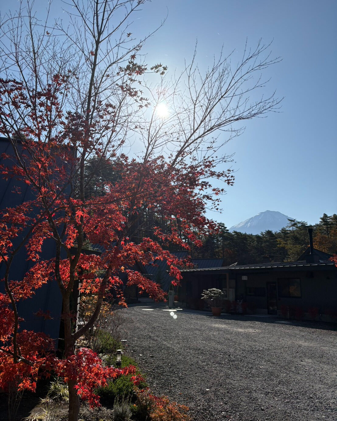 🏕️自然に囲まれた特別なひとときを感じませんか？✨🍁山梨の美